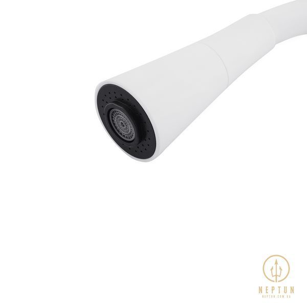 Вилив для змішувача гнучкий Kroner KRM - C8031WHI CV031906 фото