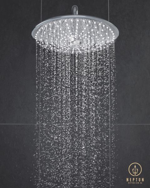 Верхній душ з стельовим кронштейном Grohe Euphoria (26461000) 26461000 фото