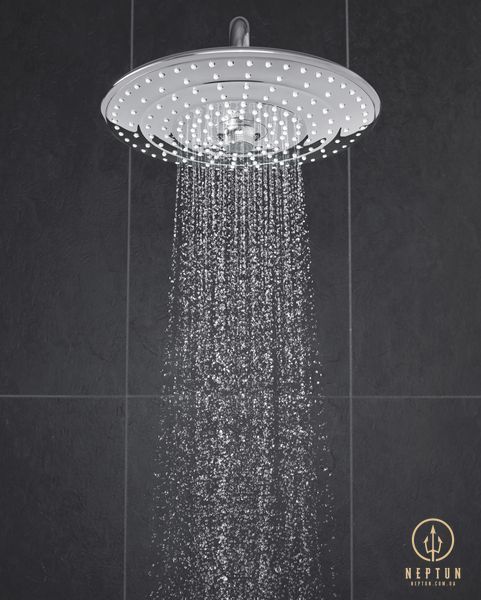 Верхній душ з стельовим кронштейном Grohe Euphoria (26461000) 26461000 фото