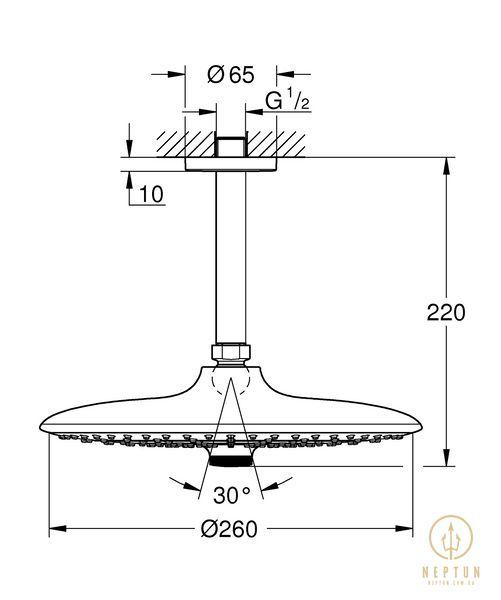 Верхній душ з стельовим кронштейном Grohe Euphoria (26461000) 26461000 фото
