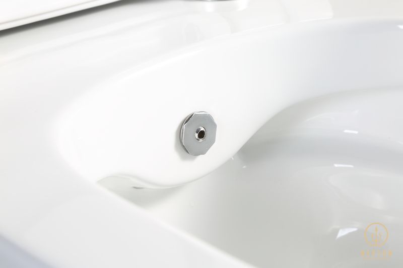 Унитаз-биде подвесной Mixxus Premium ELLIPSE-1301-R 500x365x350mm система смыва RIMLESS (MP6659) MP6659 фото
